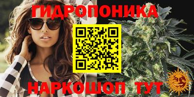 apvp Бузулук