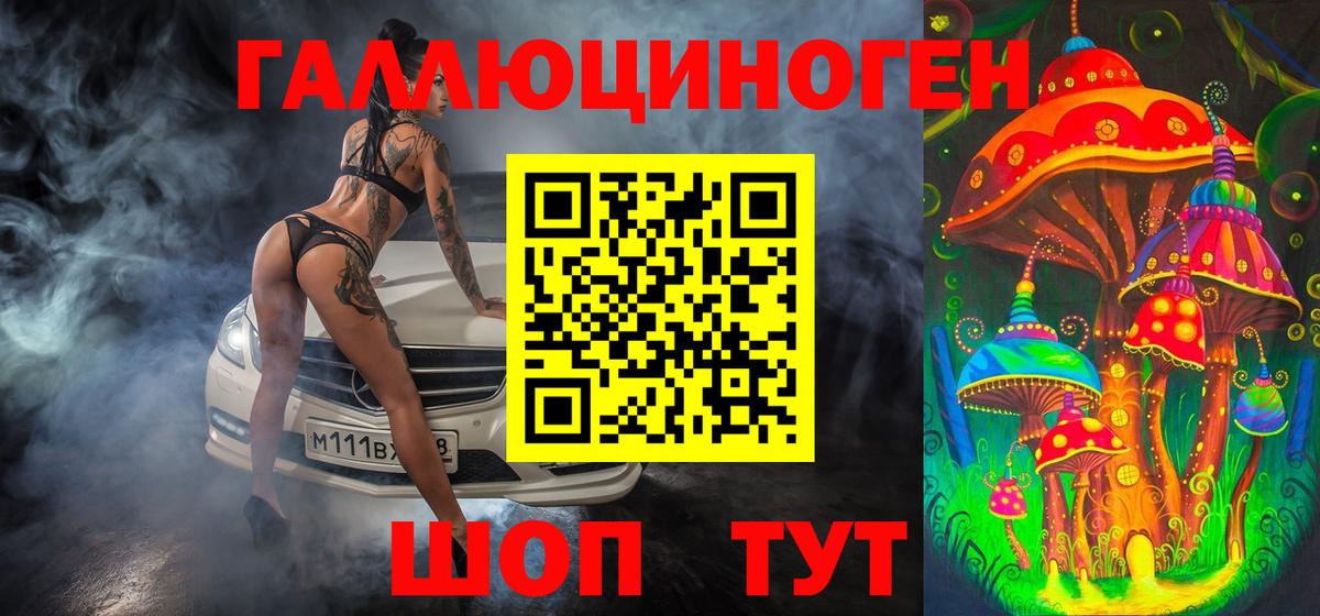 Галлюциногенные грибы Psilocybe  Вход с VPN  Звенигород 