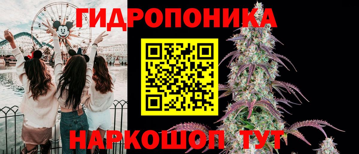 Марихуана семена Звенигород